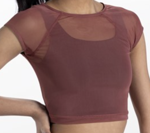 Mesh Crop Top